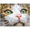 Diamond Dotz® Intermediate Green Eyed Beauty with Frame Diamond Painting Kit
